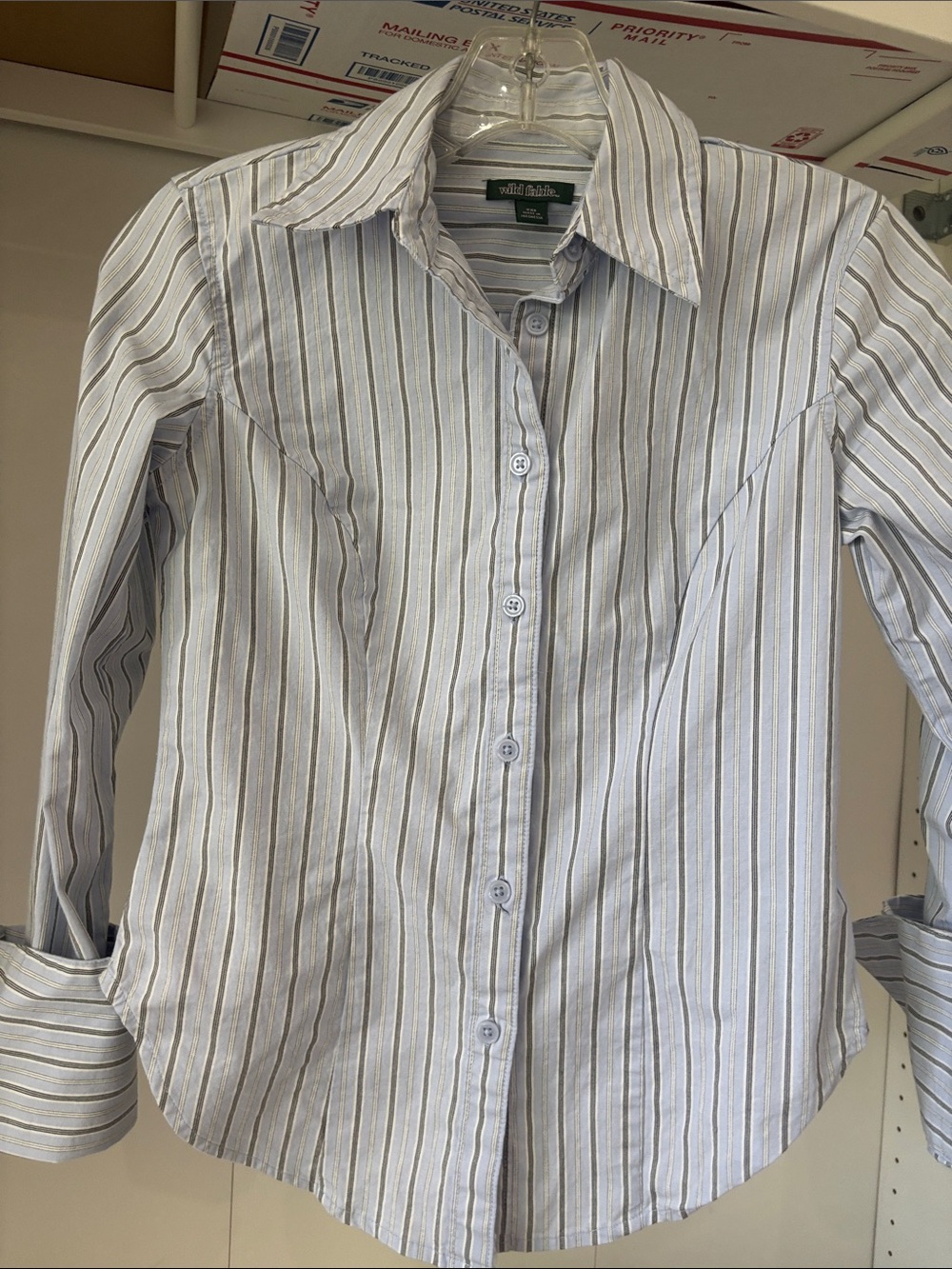 wild fable Blue and White Vertical Stripe Button-Up Shirt